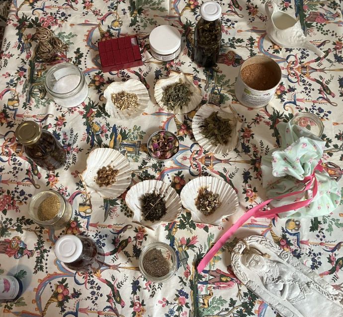 Photos de coquillages contenant des herbes pouvant être utilisées par la doula r'Eve lors des Bains des Relevailles